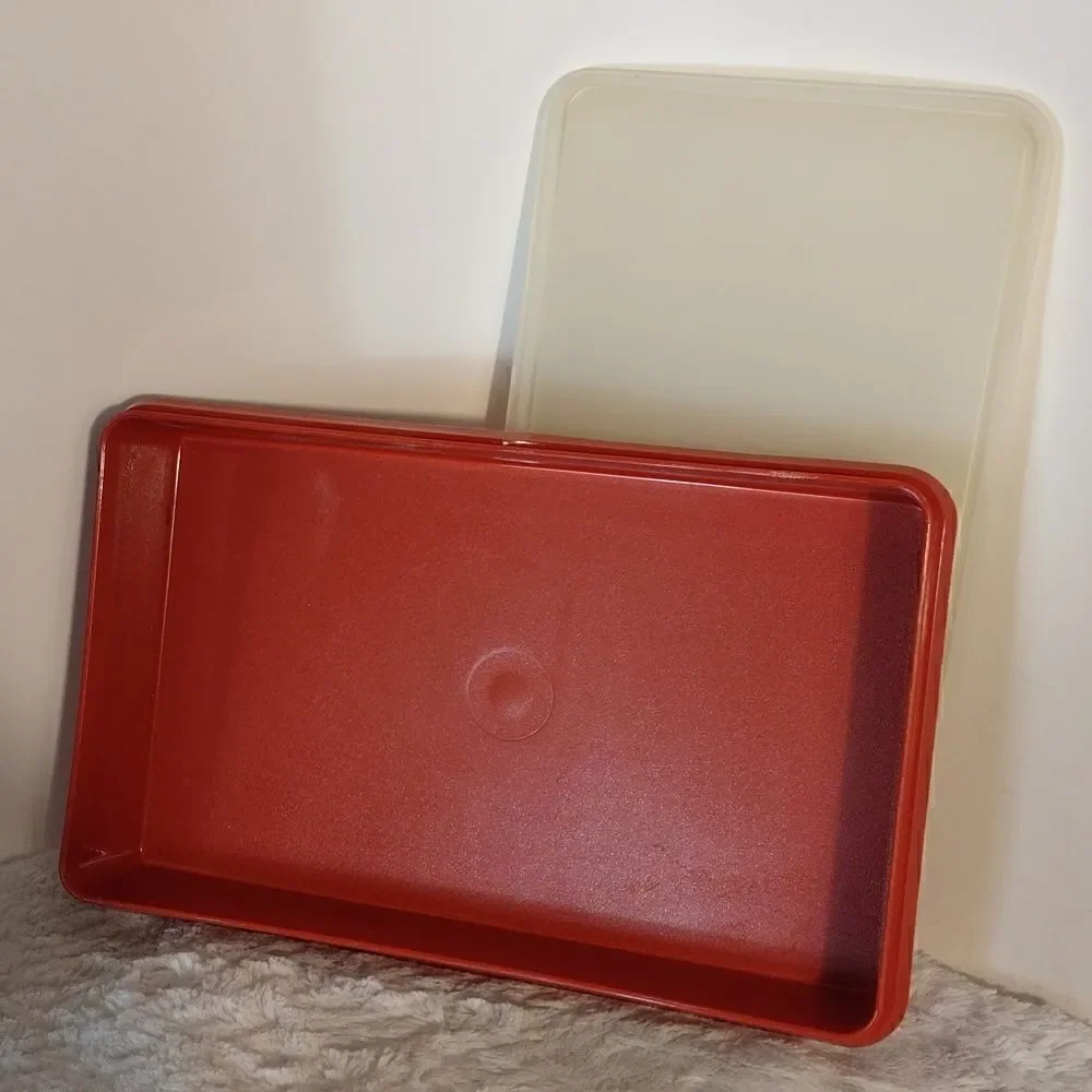 Vtg. Tupperware Rectangle Meat Storage Container